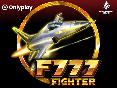fighter
