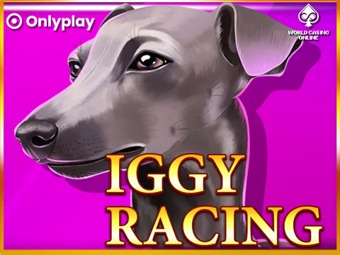 iggyracing